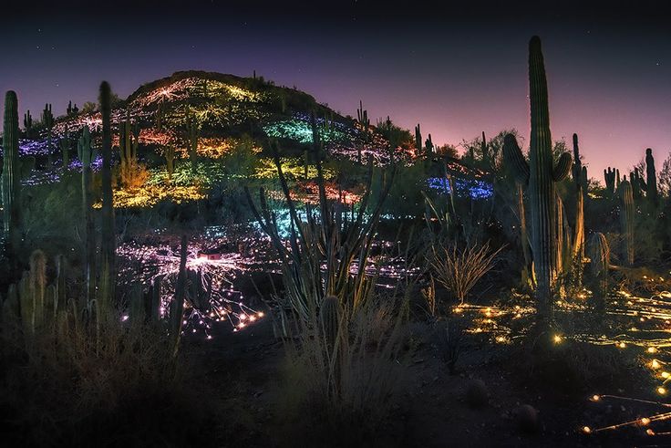 16 Best Travel Images On Places To Go Vacation Fields Of Light Phoenix Az Desert Botanical Gardens Sculpture