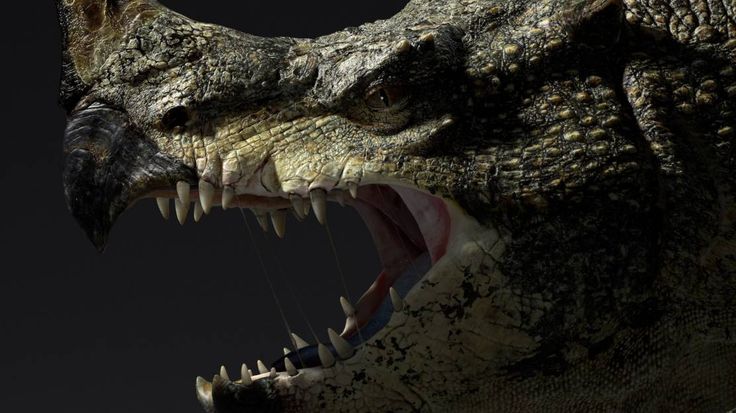 zbrush student zbrush student