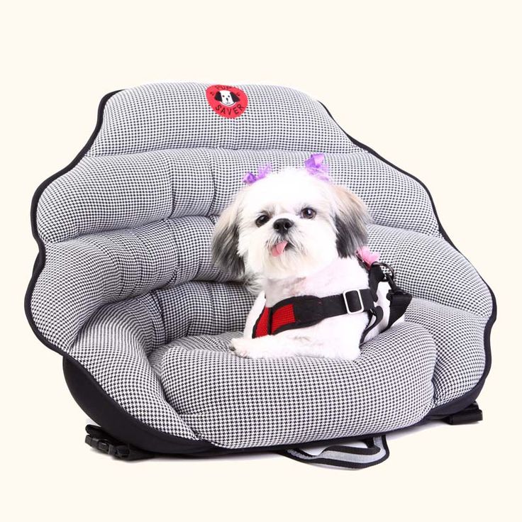Pupsaver Crash Tested Car Safety Seat For Small Dogs Dog Seats Harness - What Is The Safest Car Seat For Small Dogs Pupsaver Crash Tested Car Safety Seat For Small Dogs Dog Seats Harness - What Is The Safest Car Seat For Small Dogs