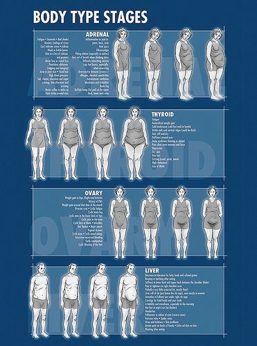 Good tips for burning belly fat photo 7
