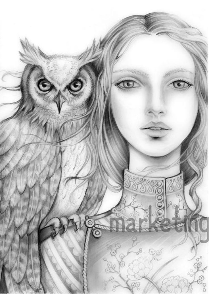 Download Pin on Adult coloring books