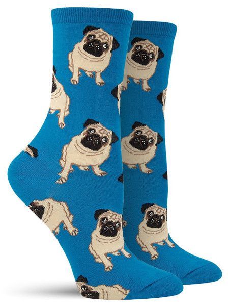 where can i buy pug puppies 2371 best pug dogs images on pug dogs doggies where can i buy pug puppies 2371 best pug dogs images on pug dogs doggies