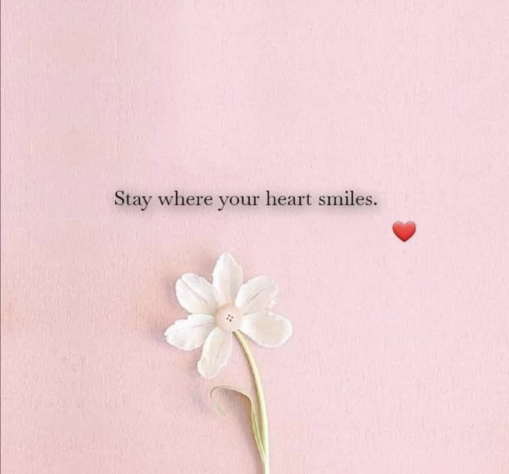 Pin By Iuliana Radu On For My Soul Smile Quotes Beautiful Tiny pin-by-iuliana-radu-on-for-my-soul-smile-quotes-beautiful-tiny