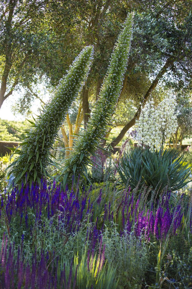 1804 best facades, mediterranean gardens, terraces, courtyards 1804 best facades, mediterranean gardens, terraces, courtyards