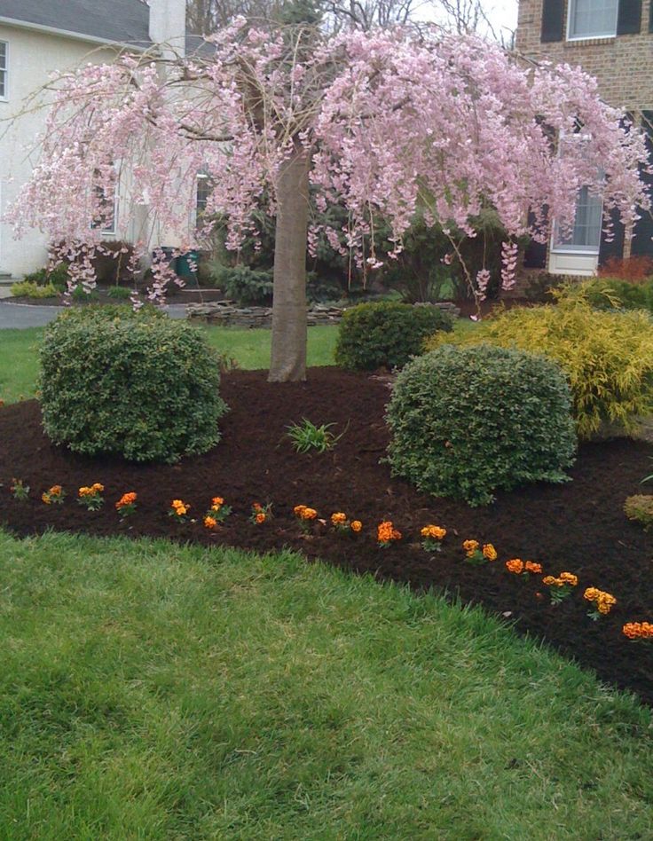 Flower Garden Ideas Around Tree 56 best gardening images on pinterest | gardening, backyard ideas Flower Garden Ideas Around Tree 56 best gardening images on pinterest | gardening, backyard ideas