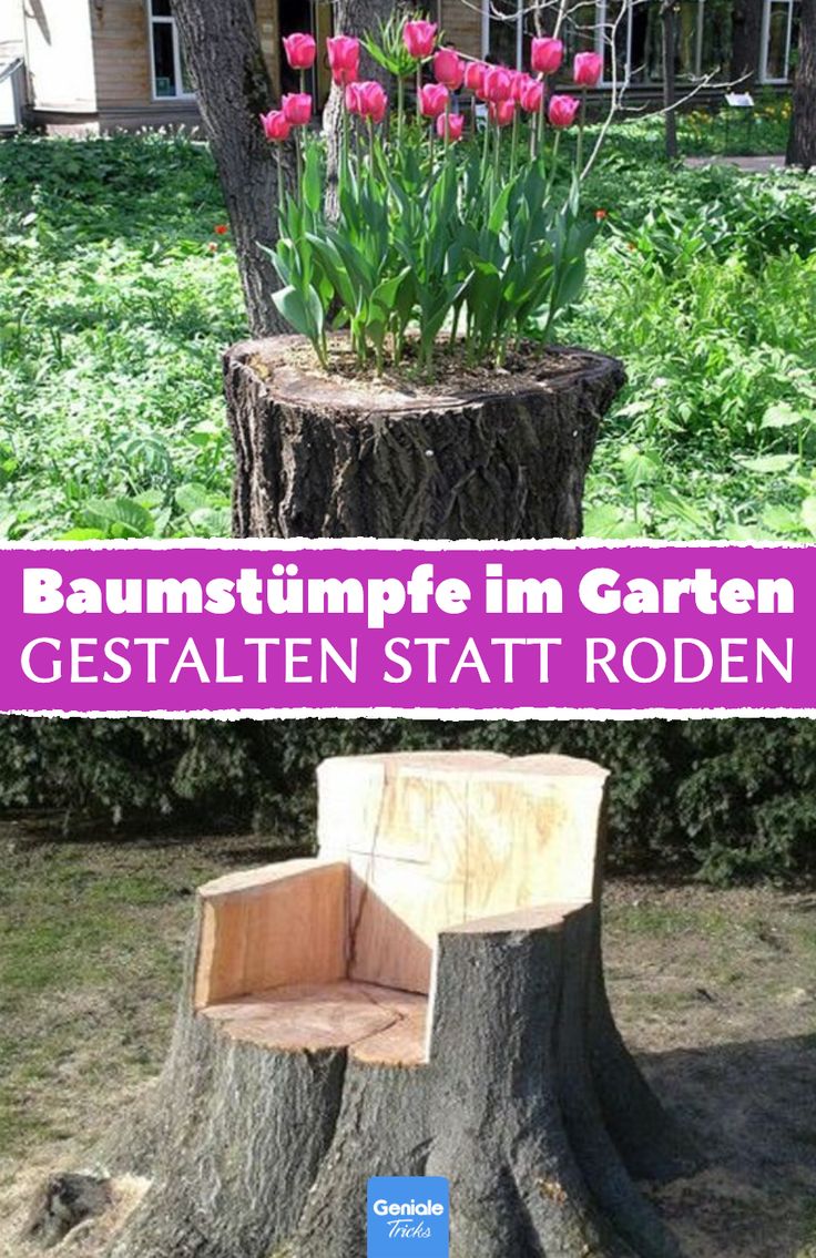 Baumstumpf Im Garten Nutzen 14 Ideen, um Baumstümpfe im Garten zu gestalten in 2021 | Garten