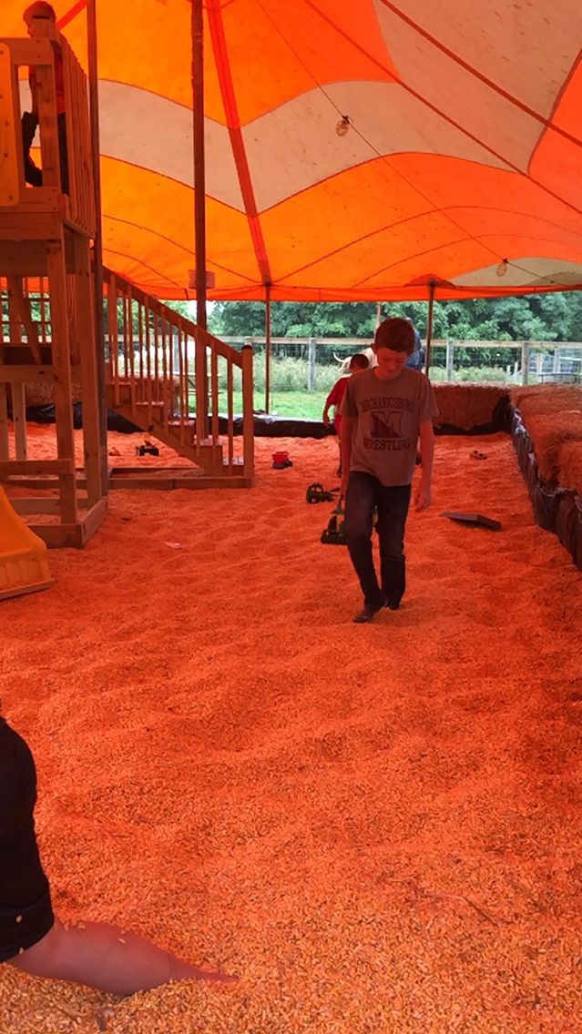 Colossal corn tent Tent Basketball court Farm Colossal corn tent Tent Basketball court Farm