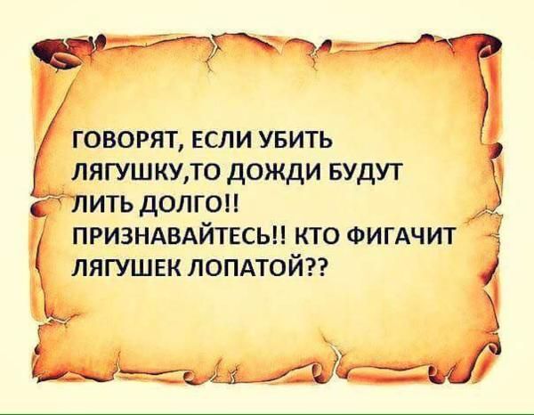 Опять дожди картинки смешные