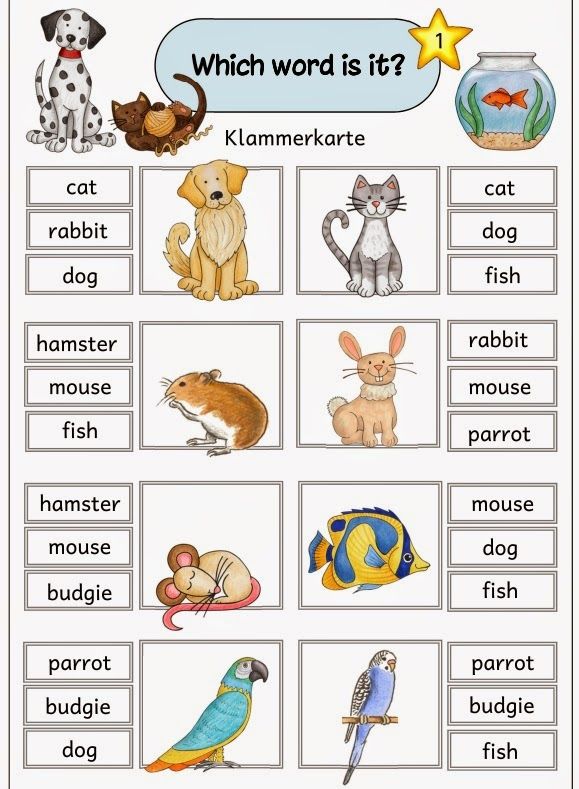 Peg cards to the English theme “pets” These new clip cards are also a … – Schule Peg cards to the English theme “pets” These new clip cards are also a … – Schule