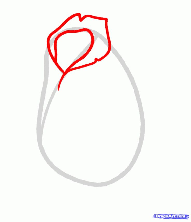 How to Draw a Rose Bud, Rose Bud, Step by Step, Flowers, Pop ...