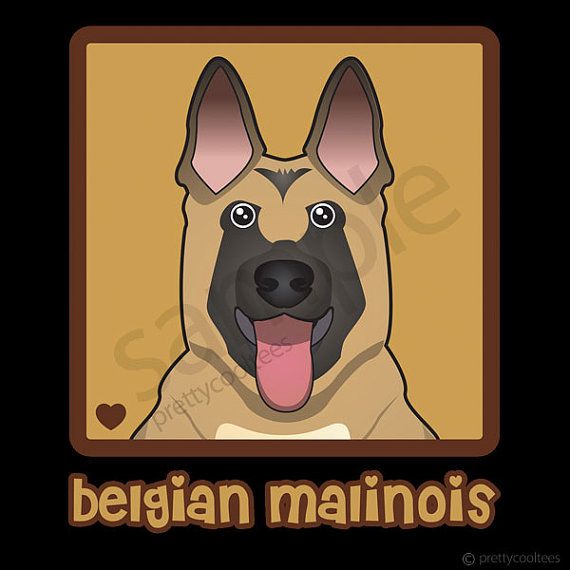 belgian sheepdog national specialty 2018 16 best dog care tips images on pinterest dog care tips dogs belgian sheepdog national specialty 2018 16 best dog care tips images on pinterest dog care tips dogs
