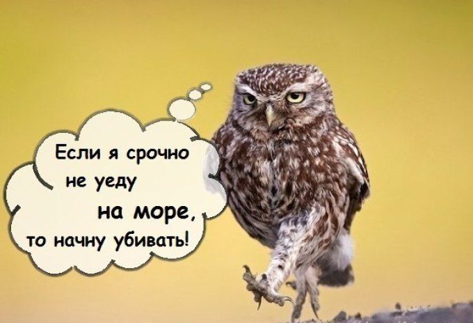 Смешные статусы в картинках с надписями для ватсапа, поздравление малыша днем