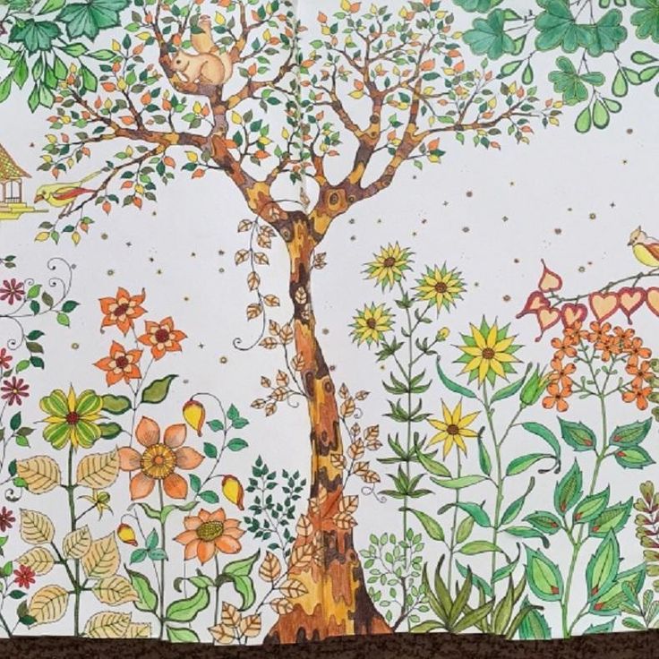 2015 Secret Garden An Inky Treasure Hunt And Coloring Book Adult Children Relax Graffiti Painting 100pcs Lot