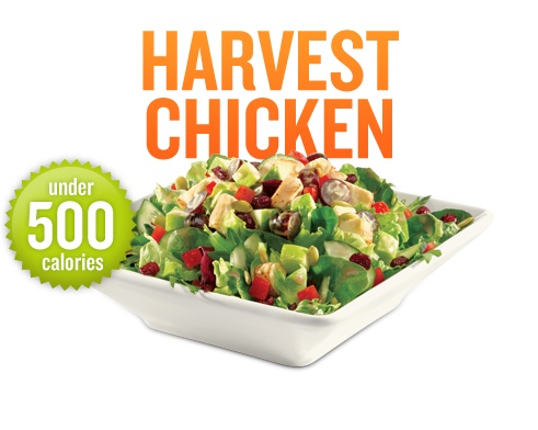 recipes quiznos chicken salad dijon honey quizno recipe menu dried cranberries cooking