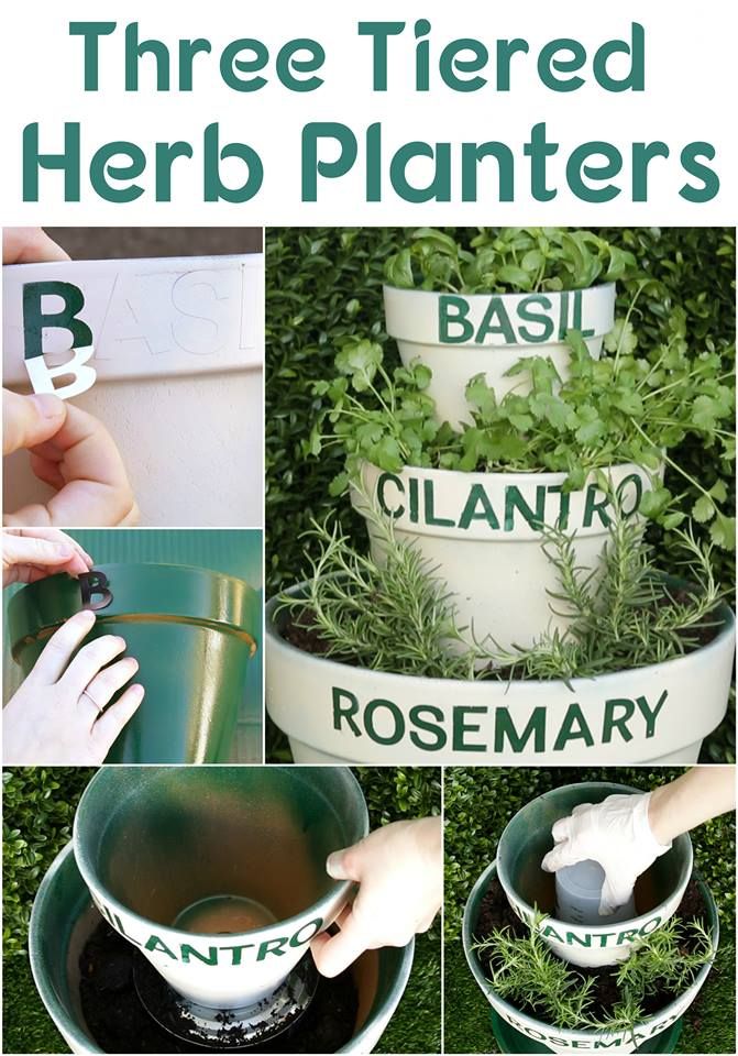 Herb Planters best 20+ herb planters ideas on pinterest | growing herbs indoors Herb Planters best 20+ herb planters ideas on pinterest | growing herbs indoors