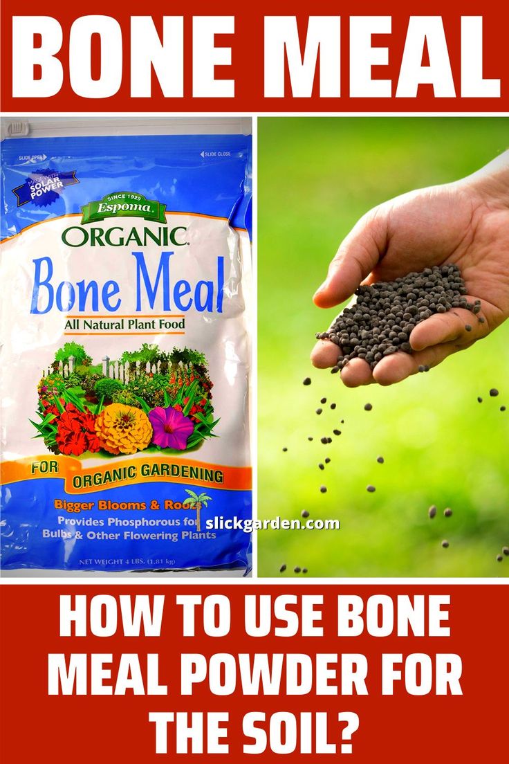 A Bag Of Organic Bone Meal Next To A Hand Holding A Bag Of Soil And The a-bag-of-organic-bone-meal-next-to-a-hand-holding-a-bag-of-soil-and-the
