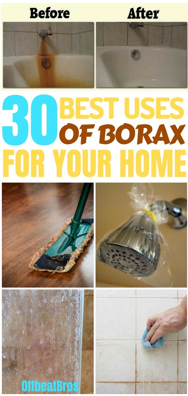 the best uses of borax for your home is here to help you get rido