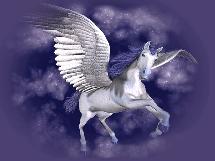 what is a pegasus unicorn called what is a pegasus unicorn called