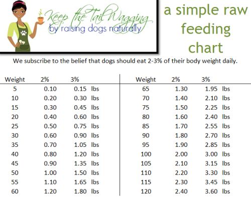 How Much Food To Feed Australian Cattle Dog How Much Food To Feed Australian Cattle Dog