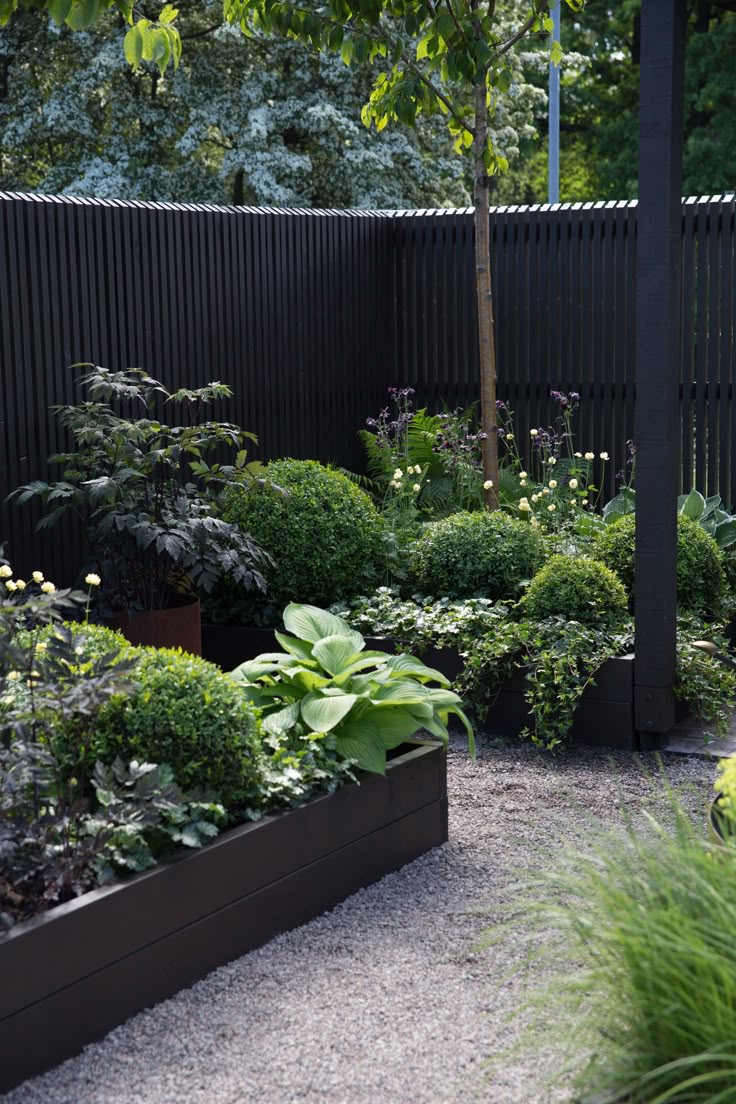best 20+ black fence paint ideas on pinterest | fencing, fence and best 20+ black fence paint ideas on pinterest | fencing, fence and