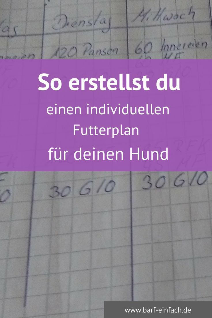 Barfen Schritt f/ür Schritt zum individuellen Futterplan