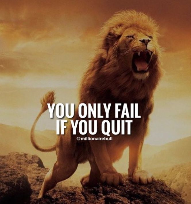 Motivational quote Inspirational quotes motivation