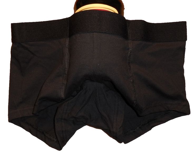 Stashitware Hide Your Cash Bikini Brief Womens Underwear Secret Stash Pockets