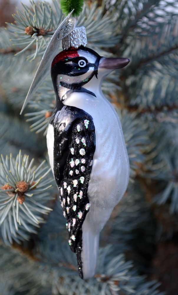Old World Christmas Vintage Hairy Woodpecker Figurine Ornaments Home Kitchen