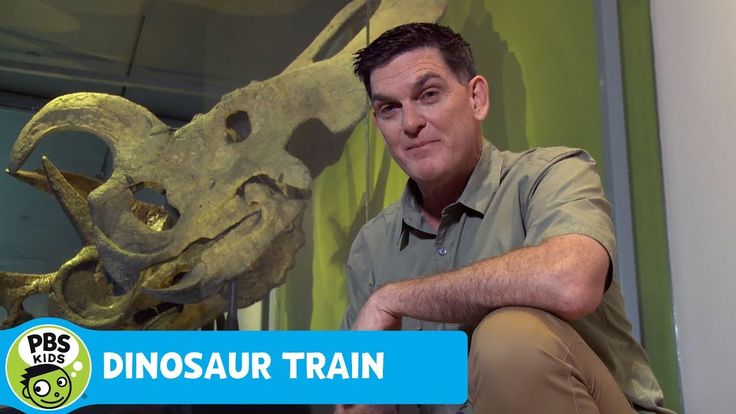 DINOSAUR TRAIN Dinosaur Discoveries Horned Dinosaurs PBS KIDS DINOSAUR TRAIN Dinosaur Discoveries Horned Dinosaurs PBS KIDS