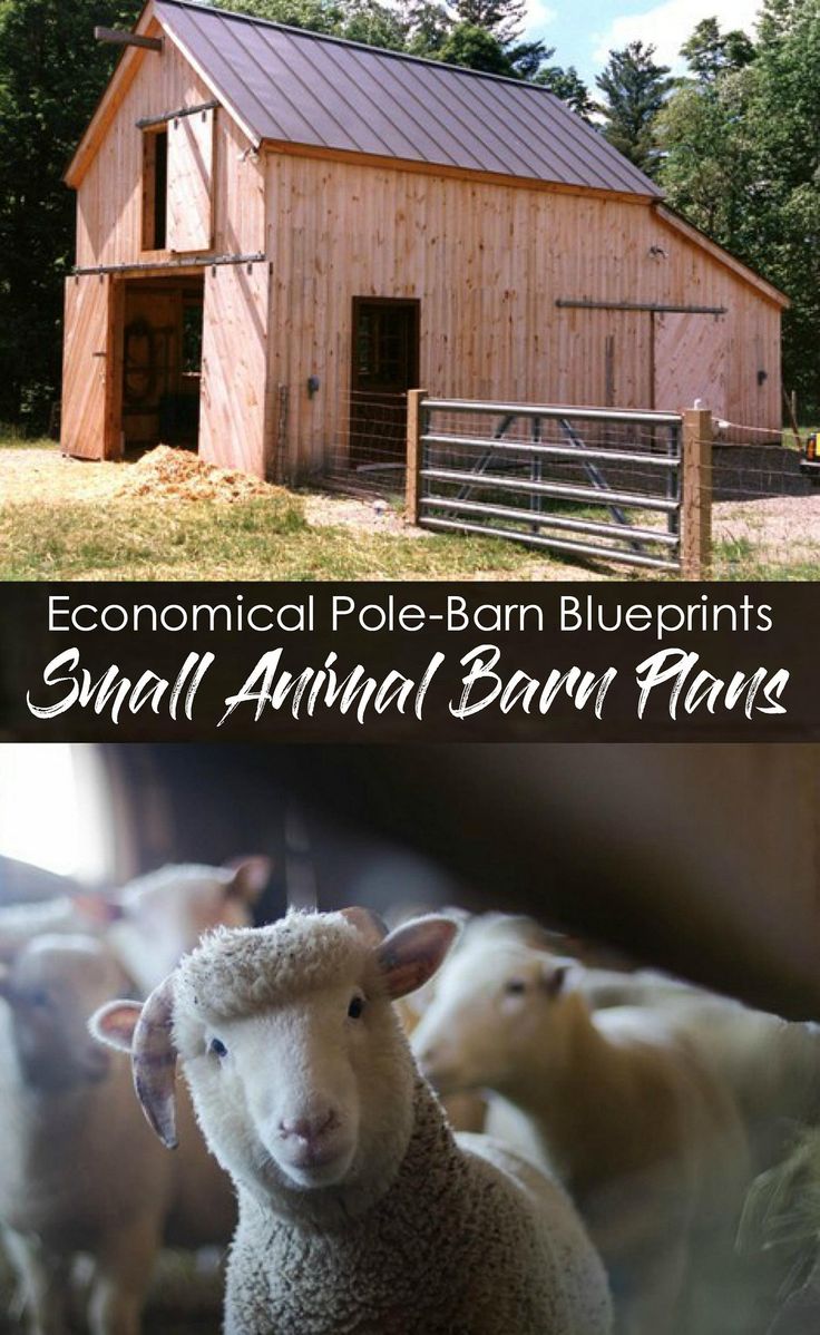 3 Small Animal Barn Plans Complete Pole-Barn Construction | Etsy | Barn