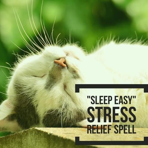 The 25+ best Easy spells ideas on Pinterest Magick spells - spell resume The 25+ best Easy spells ideas on Pinterest Magick spells - spell resume