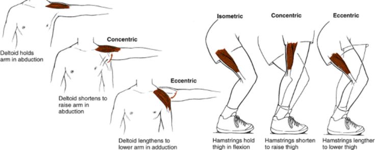 Image result | Fisioterapia