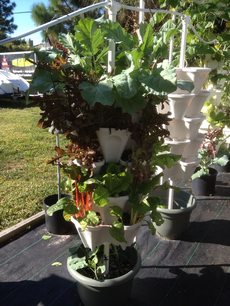 12 best Vertical Ve able Gardening images on Pinterest Vertical Hydroponic Gardening using Mr Stacky s 18" Stackable Planters Hydroponic GardeningContainer GardeningHydroponicsVertical Ve able