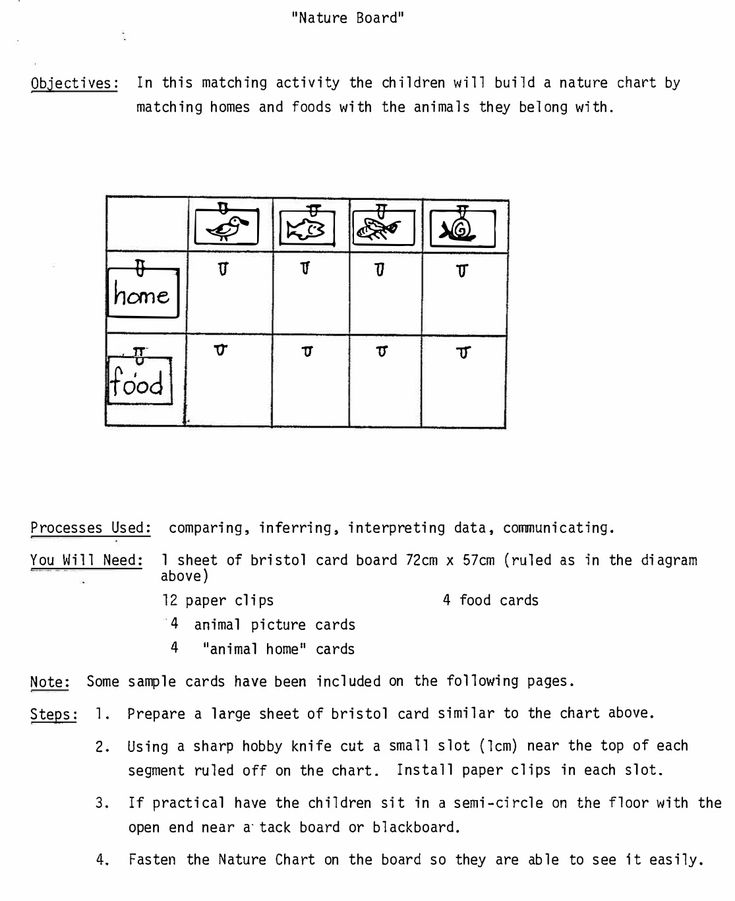 Looking At Nature Page 1 | Science skills, Skills to learn, Nature study