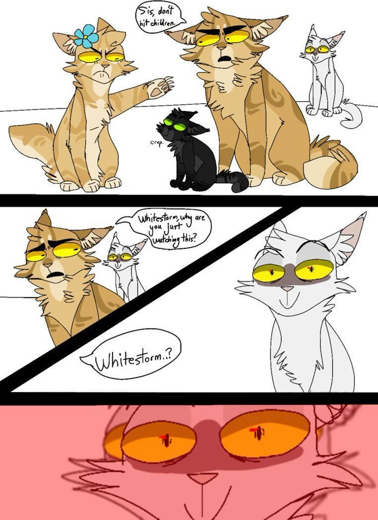 TRIGGERD | Warrior cat memes, Warrior cats comics, Warrior cats books