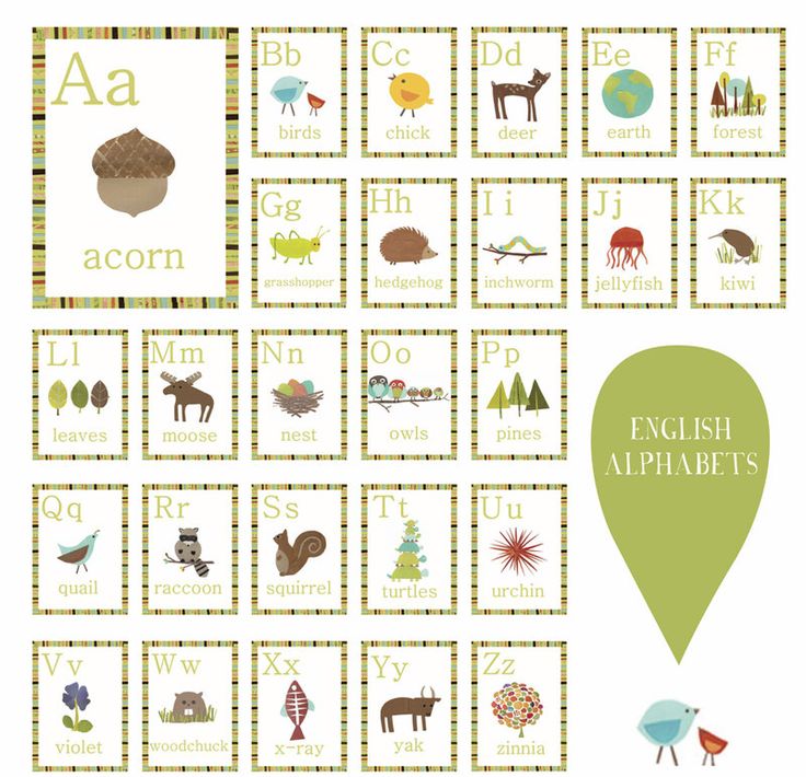 nature alphabet wall cards set of 26 wall cards alphabet wall cards