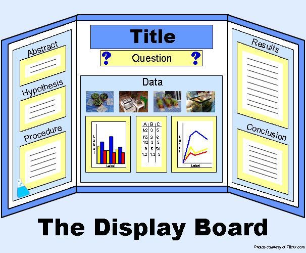 example display board for science fair or science project science sample science projects