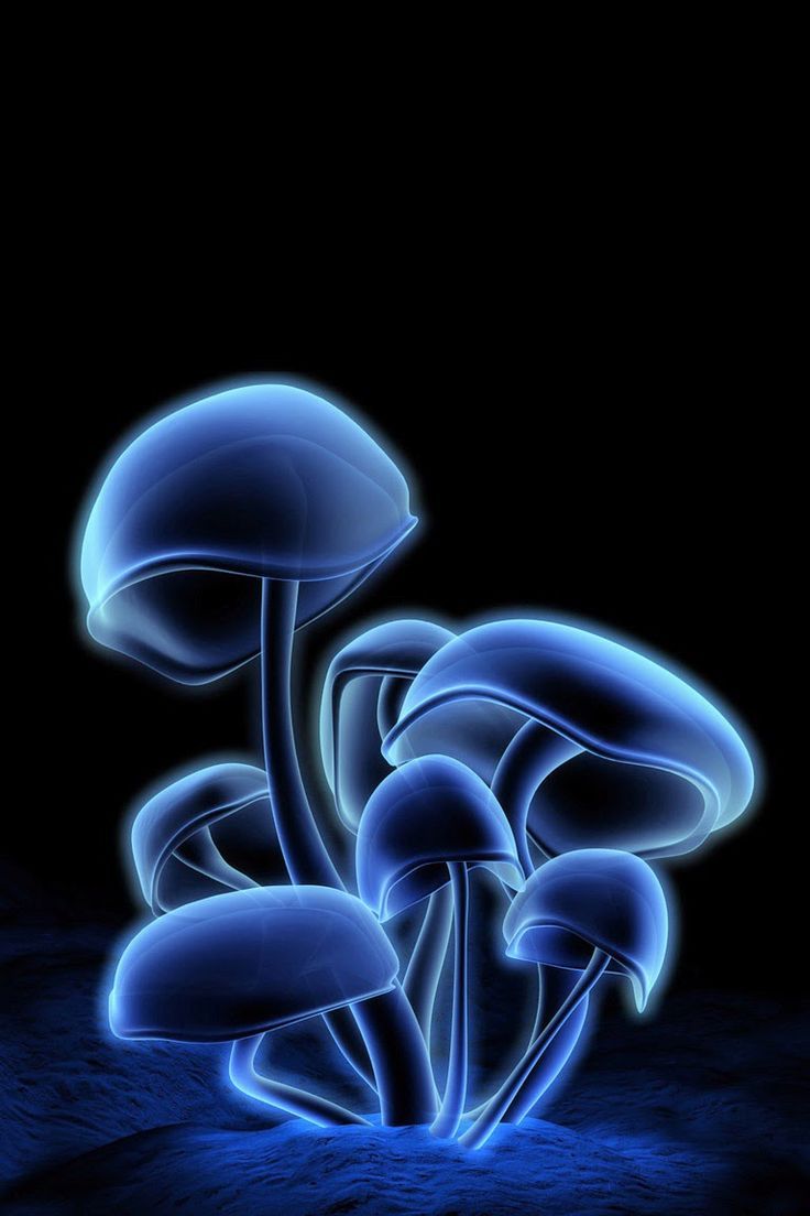 ✔️17++ Informasi tentang Gambar wallpaper keren 3d - Terbaru 2 e4b8f0b6583c0c5f1a07a4df73e912e9