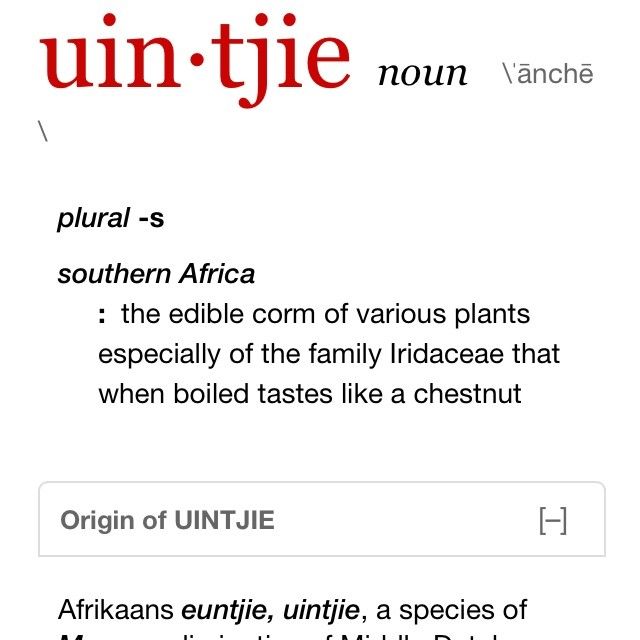 39 best Spelling images on Pinterest Bees, Spelling bee words - winway resume free 39 best Spelling images on Pinterest Bees, Spelling bee words - winway resume free