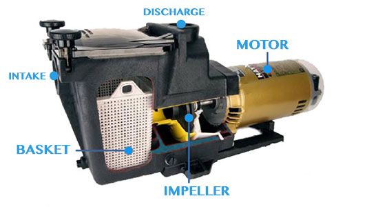 Pool Pump Diagram | Essential Guide for Maintenance and Repairs