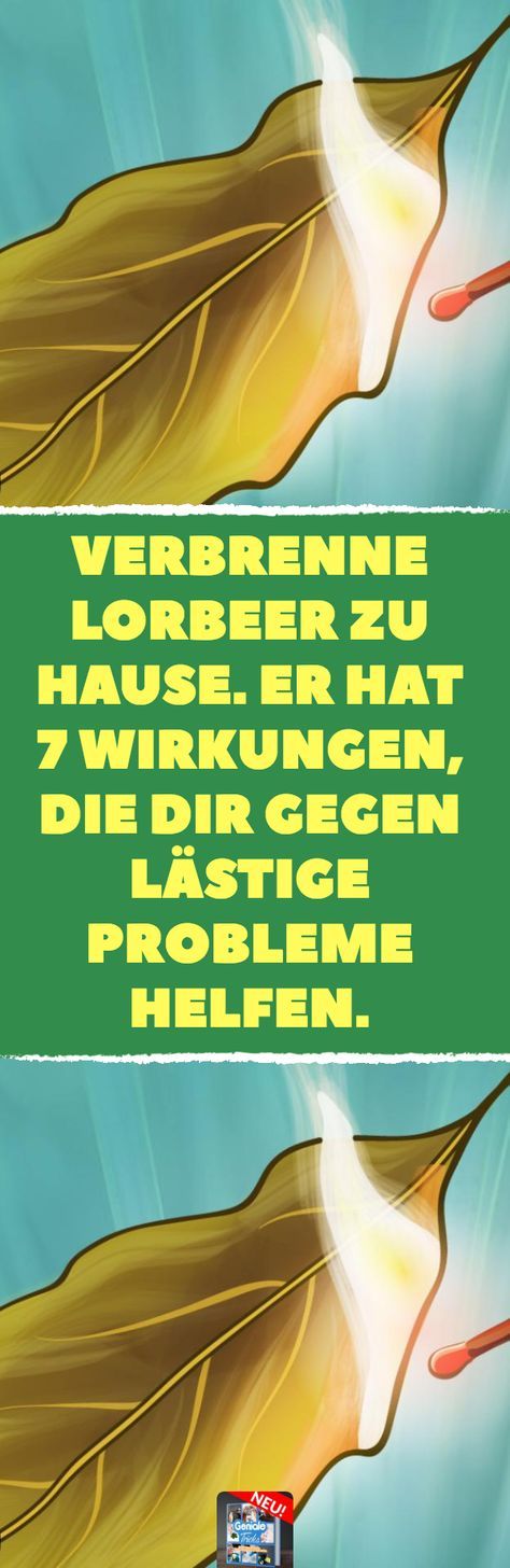 Verbrenne Lorbeer zu hause. Er hat 7 Wirkungen, die dir gegen lästige Probleme ...