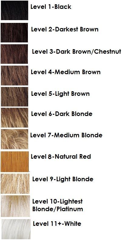 the 25 best hair color charts ideas on pinterest level 7 hair color chart