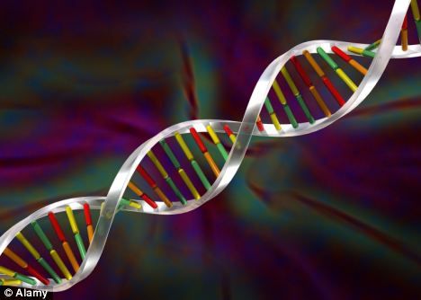 67 best Epigenetics \ Nutrigenomics images on Pinterest Gout - new blueprint gene expression 67 best Epigenetics \ Nutrigenomics images on Pinterest Gout - new blueprint gene expression