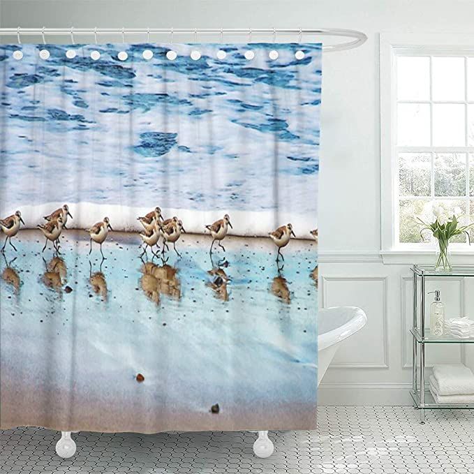 Semtomn Shower Curtain Shorebird Sandpipers Running Along