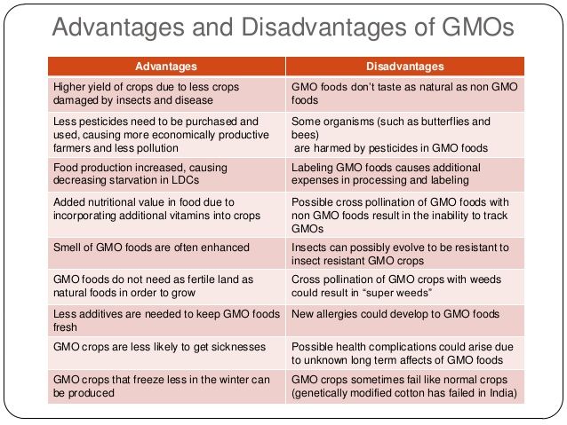 essay on genetic modified food Free essay: genetically modified foods are also known as bio-engineered or genetically engineered foods they are food products usually commercially produced. essay on genetic modified food Free essay: genetically modified foods are also known as bio-engineered or genetically engineered foods they are food products usually commercially produced.