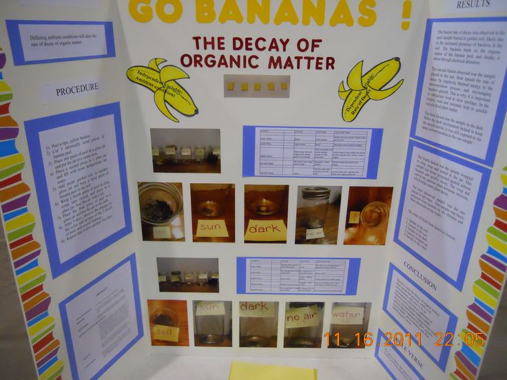 science project presentation