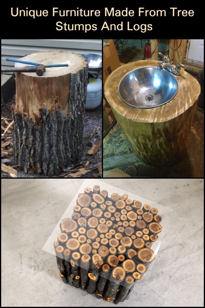 Unique Furniture Made From Tree Stumps And Logs Com Imagens