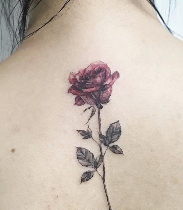 34 best purple long stem rose tattoo images on pinterest 34 best purple long stem rose tattoo images on pinterest