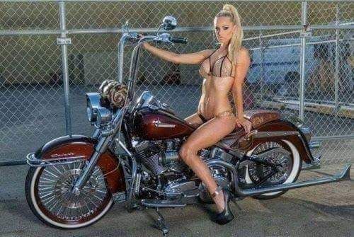 Jims 5 spd harly softail tranny