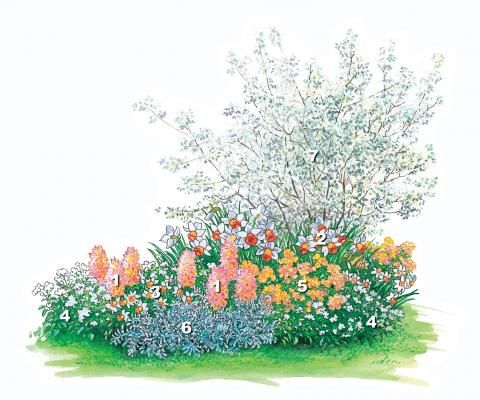 7 best Garten images on Pinterest Terrace, Garden plants and Home - gartenplanung software kostenlos deutsch 7 best Garten images on Pinterest Terrace, Garden plants and Home - gartenplanung software kostenlos deutsch